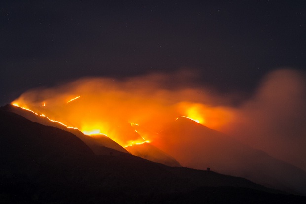 Kobaran Api Lahap 150 Hektare Hutan Gunung Merbabu