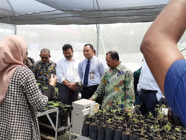 Lewat Inovasi, Universitas Syiah Kuala Kembangkan Minyak Asiri