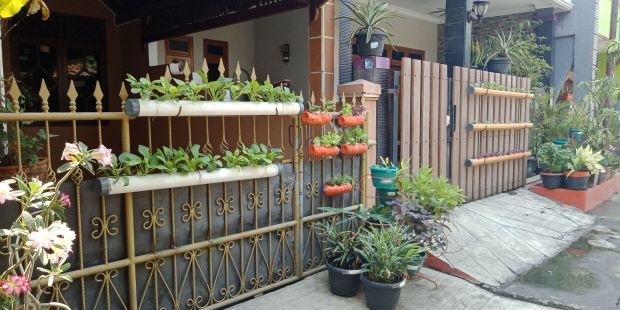 Menanam Hidroponik Itu Menyehatkan Lahir dan Batin
