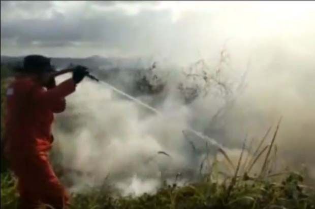 1,5 Ha Lahan Bandara Haluoleo Terbakar, Penerbangan Terganggu