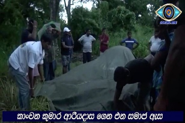 Dipaksa Angkut Wisatawan, Seekor Gajah yang Dirantai Mati Kelelahan