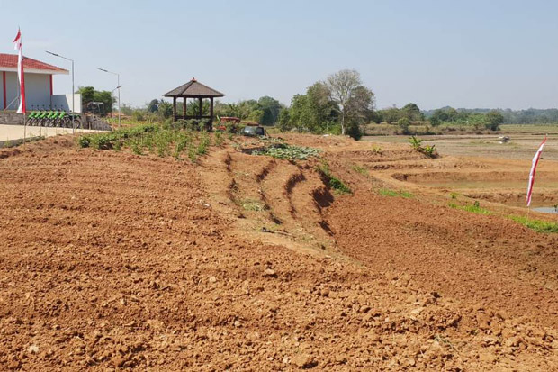 Lapas Ciangir Tangerang Buka 15 Hektare Lahan Budidaya Jagung