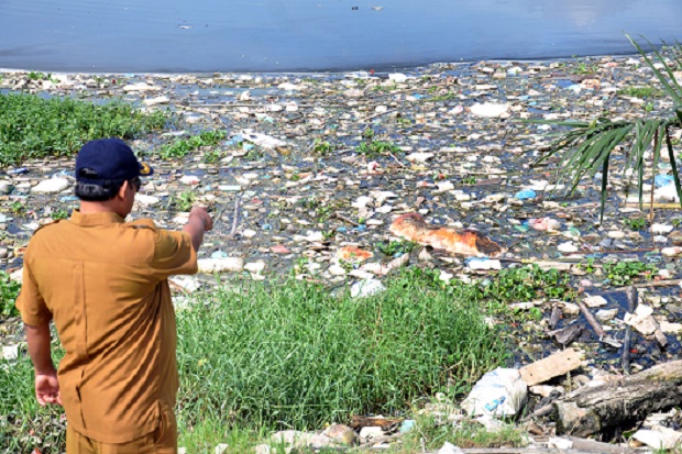 Gawat, Ratusan Bangkai Babi Dibuang Sembarang ke Danau Siombak Medan