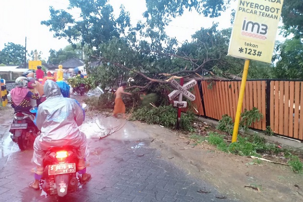 Angin Puting Beliung Terjang Bojonegoro, Ribuan Rumah Rusak
