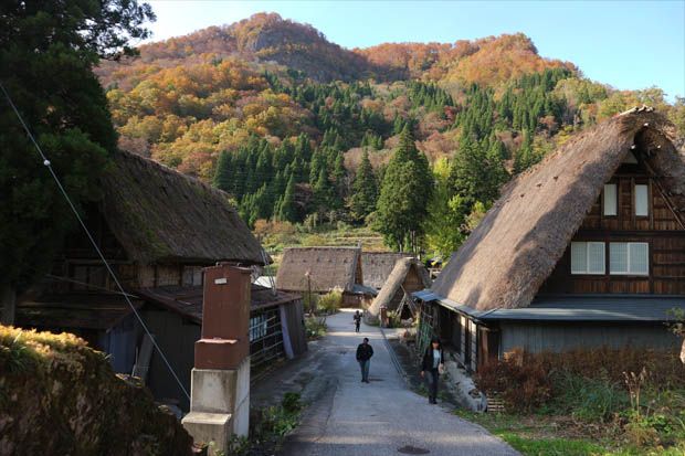 Mirip Shirakawa-go, Gokayama Tawarkan Kedamaian dan Keasrian Alam