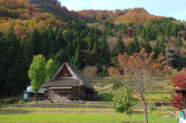 Mirip Shirakawa-go, Gokayama Tawarkan Kedamaian dan Keasrian Alam