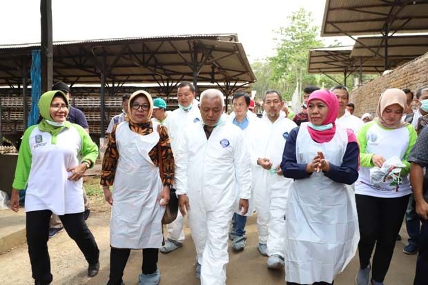 Khofifah Pastikan Telur dari Jatim Sehat dan Tidak Mengandung Racun