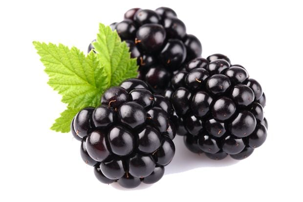 Keluarga “Berries” yang Kaya Gizi