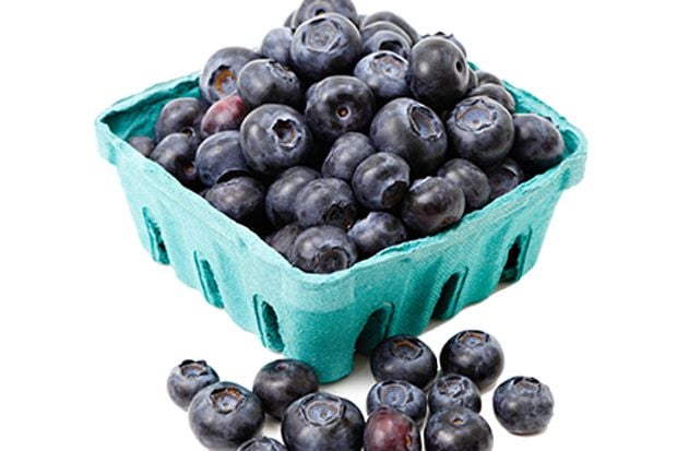 Keluarga “Berries” yang Kaya Gizi