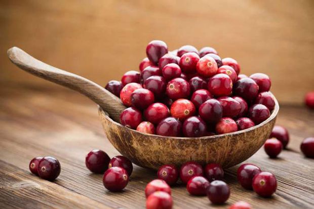 Keluarga “Berries” yang Kaya Gizi