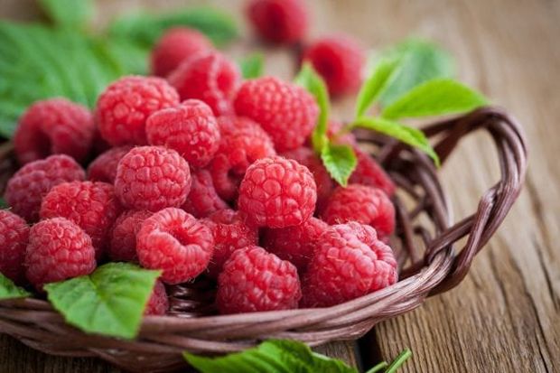Keluarga “Berries” yang Kaya Gizi
