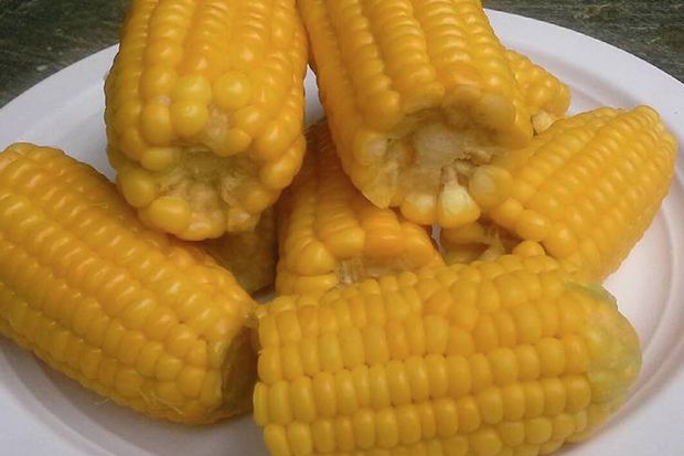 10 Makanan Sehat Vegetarian Paling Digemari