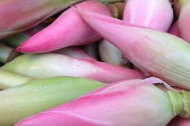 Mengenal Dedaunan Aromatik pada Masakan