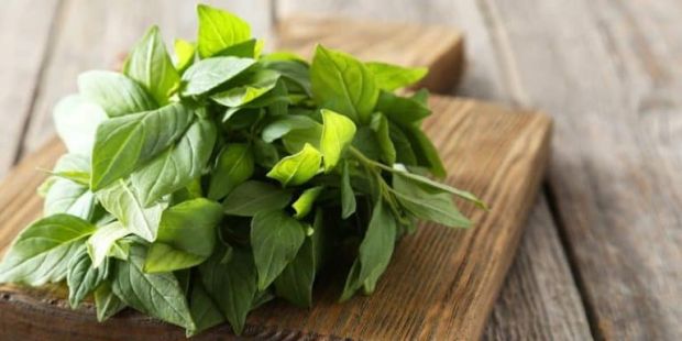 Mengenal Dedaunan Aromatik pada Masakan