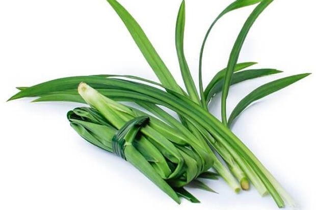 Mengenal Dedaunan Aromatik pada Masakan