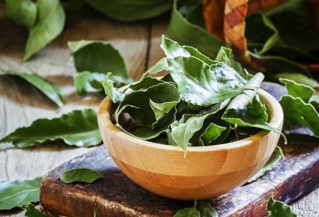 Mengenal Dedaunan Aromatik pada Masakan