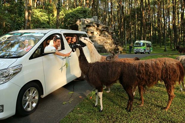 Lokasi Liburan Menakjubkan di Sekitar Jakarta