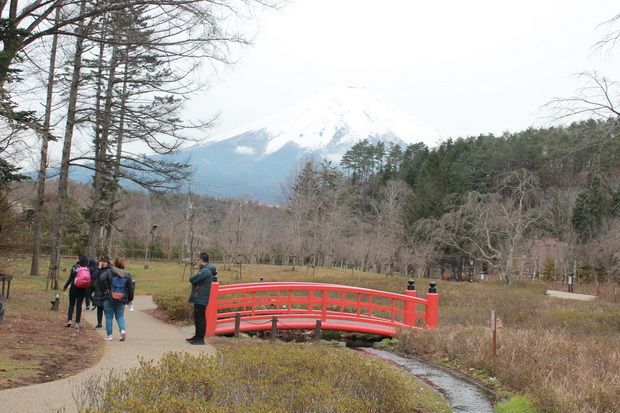 Jalan-Jalan ke Jepang, Jangan Lewatkan Tempat-Tempat Wisata Keren Ini