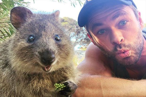 5 Selebritas yang Berdonasi untuk Kebakaran Semak Australia