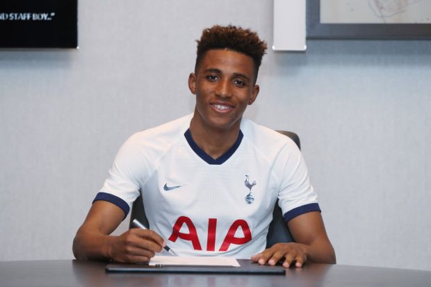 Gedson Fernandes, Rekrutan Perdana Mourinho di Tottenham