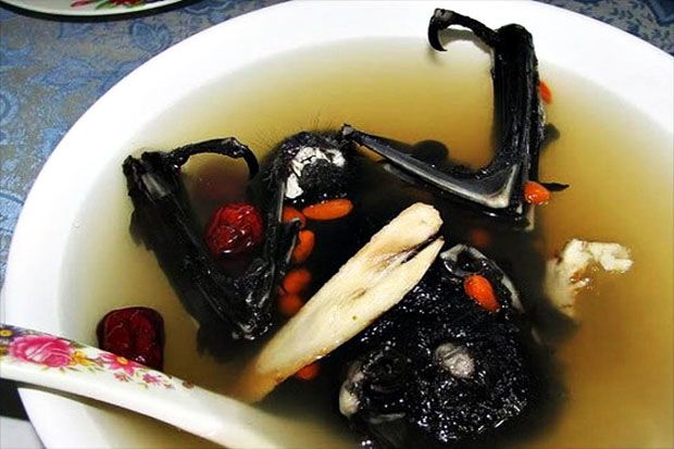 Selain Sup Kelelawar Wuhan, Ini 10 Makanan Ekstrem di Dunia