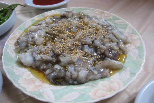 Selain Sup Kelelawar Wuhan, Ini 10 Makanan Ekstrem di Dunia
