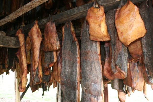 Selain Sup Kelelawar Wuhan, Ini 10 Makanan Ekstrem di Dunia