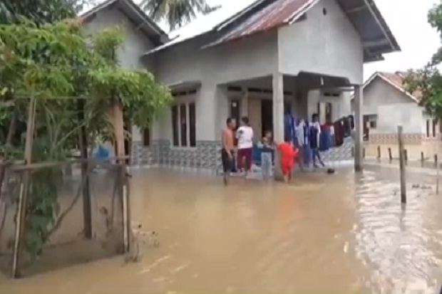 Sungai Way Semuong Meluap, Ratusan Rumah di Tanggamus Terendam