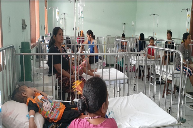 Penderita Capai 229 Orang, RSUD TC Hillers Maumere NTT Dipenuhi Pasien DBD