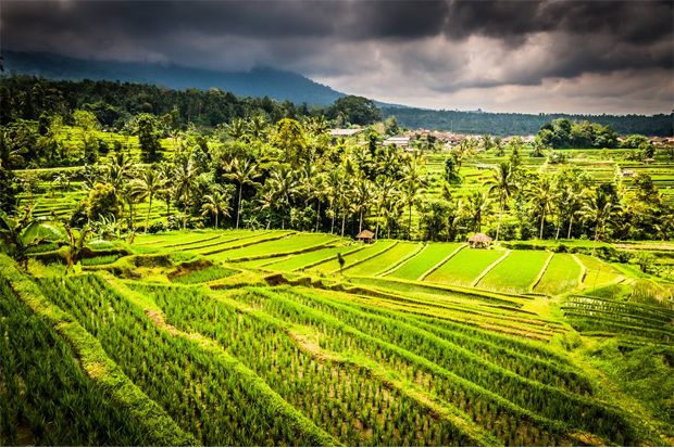 10 Kegiatan Rekomendatif saat Berlibur di Bali