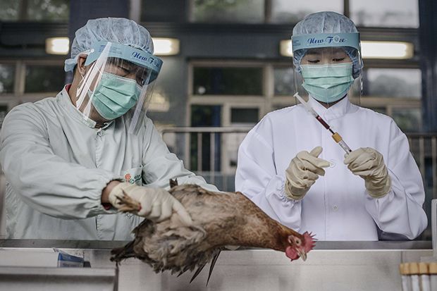 Selain Corona, Inilah 10 Wabah Virus yang Menggegerkan Dunia