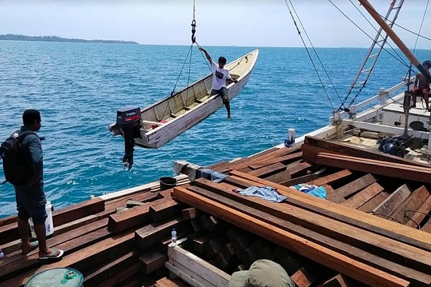Pembalakan Liar Kayu Merbau di Hutan Raja Ampat Dibongkar