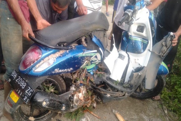 Lihat Sawah, 2 Pelajar Putri Ini Malah Tertimpa Pohon Tumbang