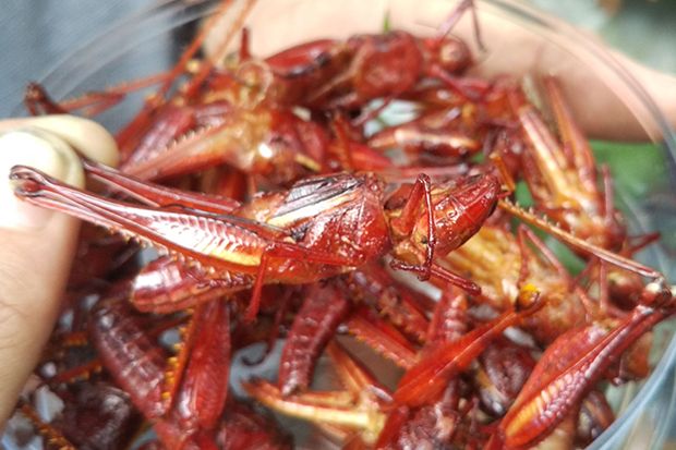 Kuliner Unik dari Berbagai Daerah di Indonesia, Ini Daftarnya