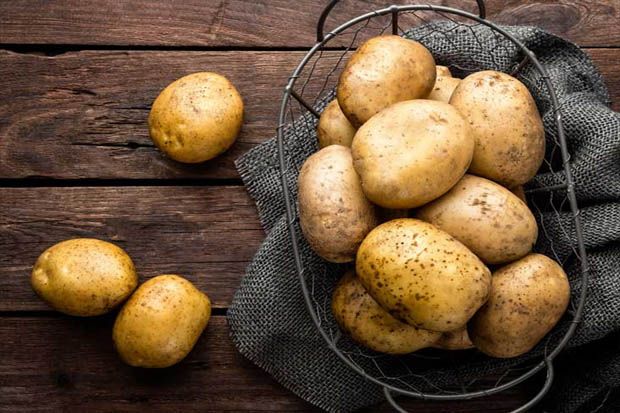 5 Bahan Makanan Penuh Gizi Pengganti Telur