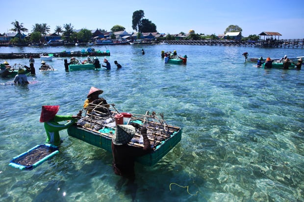 Cerita Foto: Rehabilitasi Terumbu Karang Pulau Bontosua